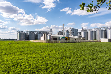 Modern Granary elevator. Silver silos on agro-processing and manufacturing plant for processing drying cleaning and storage of agricultural products, flour, cereals and grain.