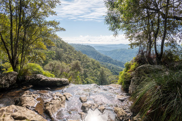 View from the Twin Falls Walk, Springbrook