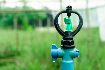 Sprinkler watering the plants over green garden