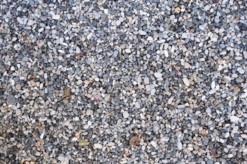 walk in the Park early in the morning