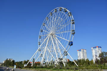 walk in the Park early in the morning