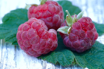 Raspberry berries close-up.
Natural background. Horizontal, nobody, free space. Agriculture concept.