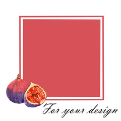 Seamless illustration for your design with fig isolated on white background with pink square