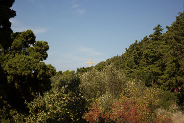 Vegetation in Greece. Plants, cacti. Rhodes island. Summer vacation. Euro-trip.