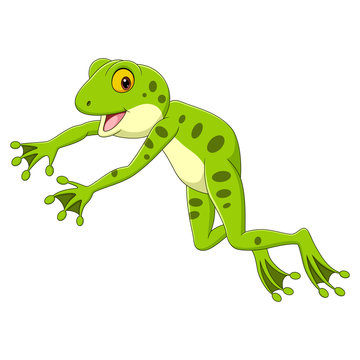 Cartoon funny frog leaping on white background