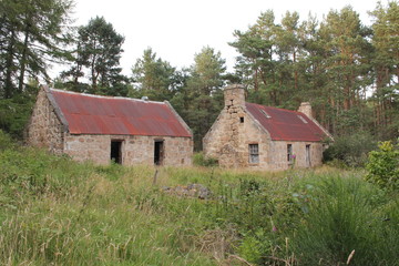 Two rustic stone buildings with tin roofs in the middle of the forest