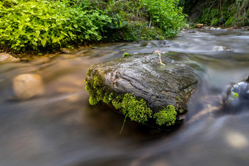 A rock with small plantation situated in the middle of a river captured in slow shutter speed.