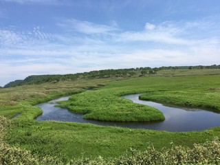 北海道空知郡雨竜高原の湿原