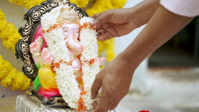 Hands Offering or adding Flower garland to lord Genesha idol during Vinayaka Chaturthi Pooja or rituals at home