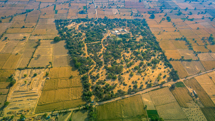 Fototapeta premium Drone view of Indian forest and agriculture field