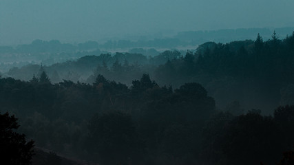 Heide in Posbank im Morgengrauen mit Nebel