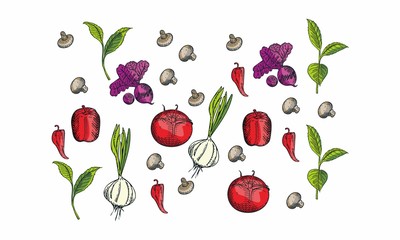 vector illustration of an apple