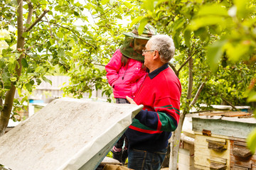 An experienced beekeeper transfers knowledge of beekeeping to a small beekeeper. The concept of transfer of experience