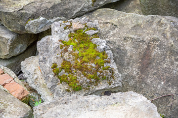 Original textured surface of of a natural coarse stone
