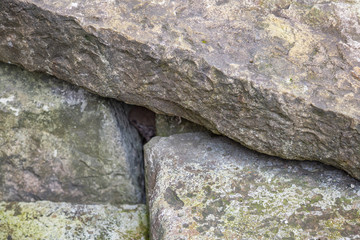 Original textured surface of of a natural coarse stone
