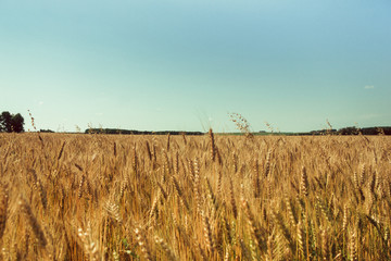 Russia. Travel across Russia. Hills, mountains and fields. Panorama of the steppes.