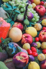 composition of fruits and vegetables top view