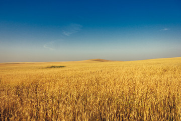 Russia. Travel across Russia. Hills, mountains and fields. Panorama of the steppes.