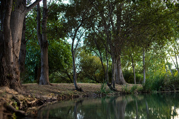 Fototapeta na wymiar Parque con laguna 
