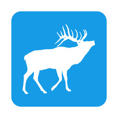 Silueta de ciervo haciendo su llamada en cuadrado color azul