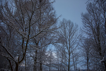 Winter in La Cerdanya, Pyrenees, Spain