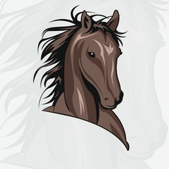 Wild horse head vector illustration