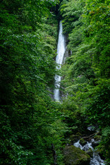 酒水の滝　神奈川県