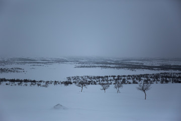 Winter landscape in Nuorgam, Lapland, Finland