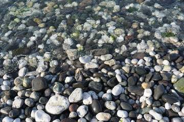 stones on the beach