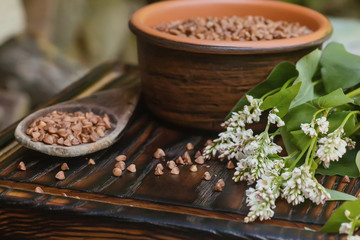 Buckwheat Seed in clay plate on table. Fresh buckwheat flowers. Healthy Food Concept