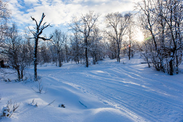 Fototapeta na wymiar Ski expedition in Nuorgam, Lapland, Finland