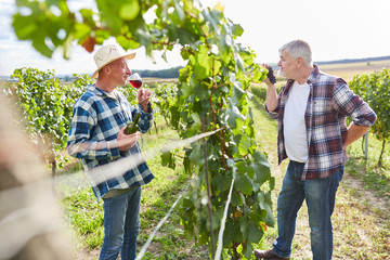 Weinbauern bei einer Weinprobe im Weinberg