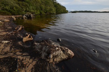 The shoreline of Loch Morar The Scottish Highlands