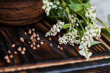 Obraz na płótnie Canvas Scattered grains of buckwheat on table. Fresh buckwheat flowers. Healthy Food Concept