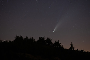 Comet Neowise in the starry night sky.