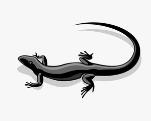 black lizard, iguana vector drawing art design illustration