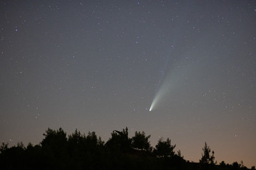 Comet Neowise in the starry night sky.