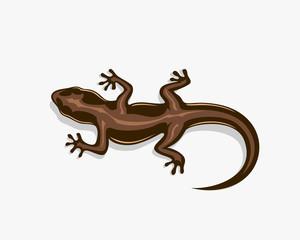 Gecko lizard iguana art logo symbol design illustration