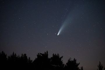 Fototapeta premium Comet Neowise in the starry night sky.