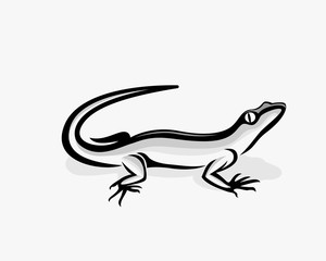 Obraz na płótnie Canvas Lizard iguana gecko drawing art logo symbol illustration
