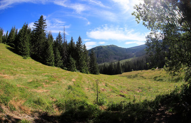 Polana Olczyska _Tatry,  Zakopane © Ruchacz