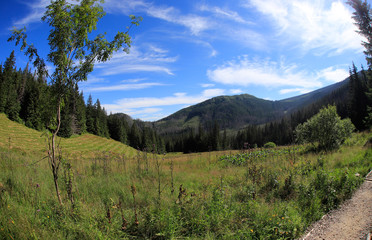 Polana Olczyska _Tatry,  Zakopane © Ruchacz