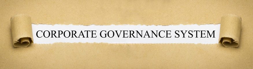 Corporate Governance System