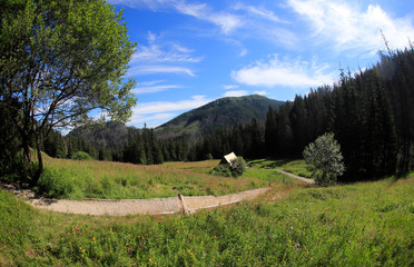 Polana Olczyska _Tatry,  Zakopane © Ruchacz