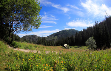 Polana Olczyska _Tatry,  Zakopane © Ruchacz