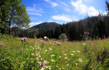 Polana Olczyska _Tatry,  Zakopane © Ruchacz