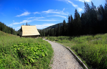 Polana Olczyska _Tatry,  Zakopane © Ruchacz