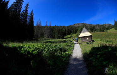 Polana Olczyska _Tatry,  Zakopane © Ruchacz
