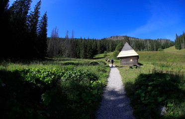 Polana Olczyska _Tatry,  Zakopane © Ruchacz