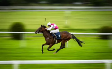 Fotobehang Paardensport Jockey during horse race on his horse going towards finish line. Traditional European sport.  © vladimirhodac